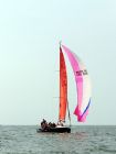 sailing, sport