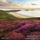 colour, gower, landscape, squared, sunset, worms head