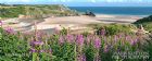 colour, gower, landscape, panoramic